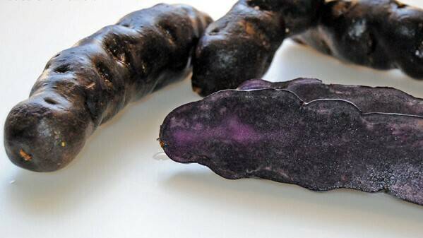 patata_violeta1|1|2|3